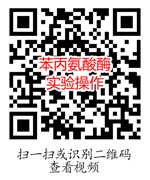 苯丙氨酸脱氨酶实验