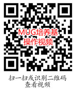 MUG培养基使用操作视频