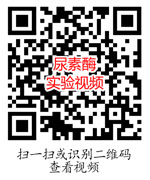 尿素酶实验