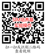 SIM培养基实验