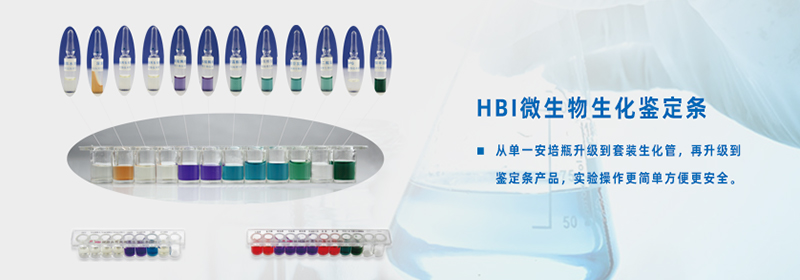 HBI生化鉴定条